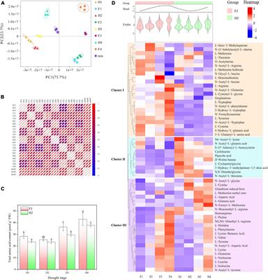 UPLC-MS/MS Profile Combined With RNA-Seq Reveals the Amino Acid Metabolism in Zanthoxylum bungeanum Leaves Under Drought Stress